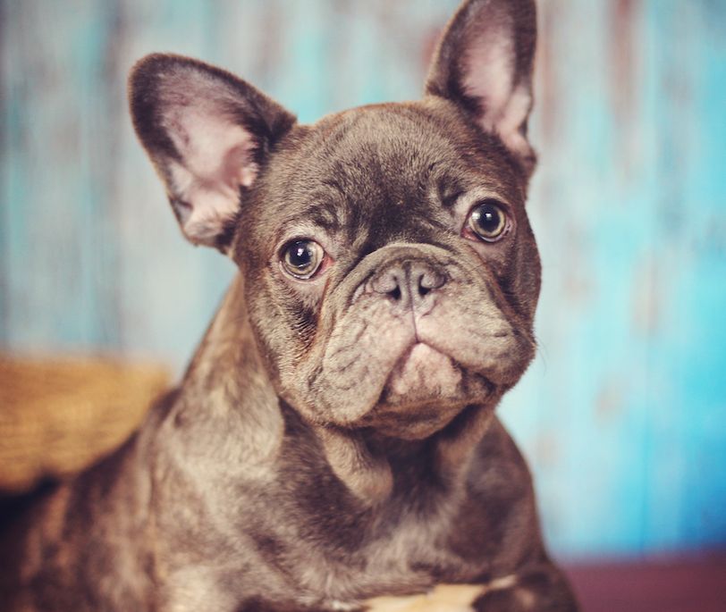 Question of the Week